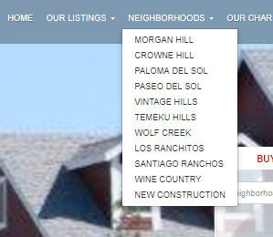 Wordpress Details 23