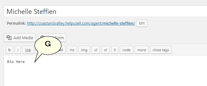 Wordpress Details 3