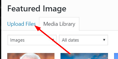 Wordpress Details 31