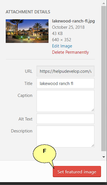 Wordpress Details 32