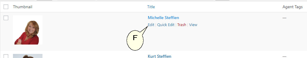 Wordpress Details 2